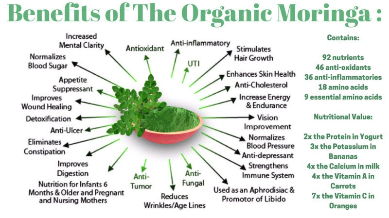 The Wonderful Benefits of Moringa Leaf