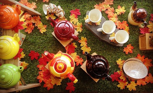 Fall has come into fruition, come in and try our daily herbal and wellness samples!