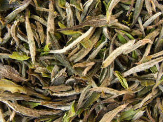 White Tea