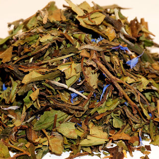 Blueberry Bear White Tea - Canmore Tea Company