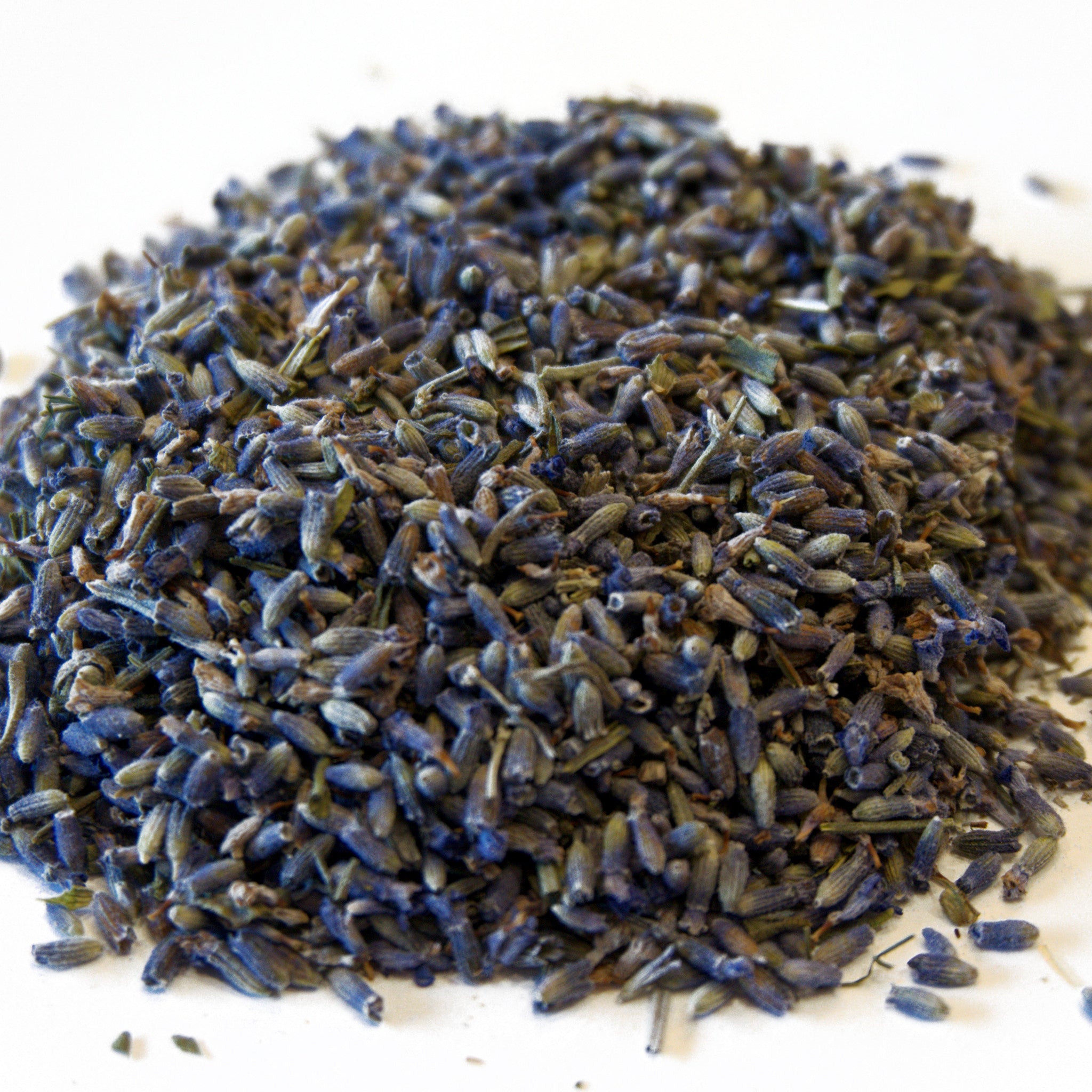 wild lavender seeds Wild Blue Lavender Organic – Canmore Tea Company